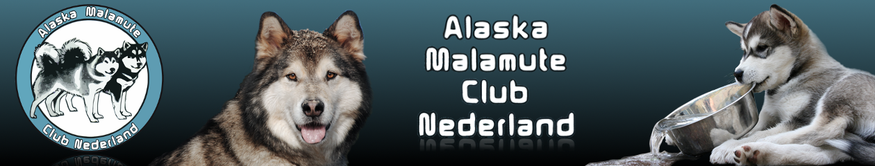 Alaska Malamute Club Nederland